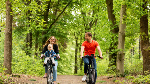 Een gezin fietst door een groen bospad in Landgoed de Scheleberg vakantiepark in Gelderland.