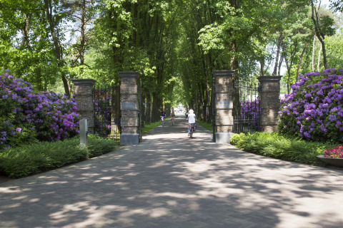 Entrée du parc Landgoed de Scheleberg aux Pays-Bas avec cyclistes, verdure et buissons de fleurs violettes.