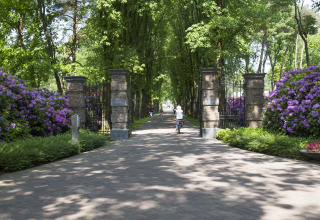 Entrée du parc Landgoed de Scheleberg aux Pays-Bas avec cyclistes, verdure et buissons de fleurs violettes.