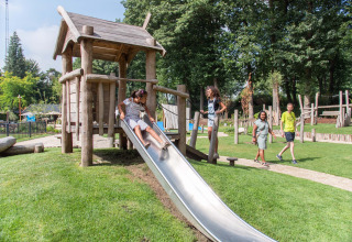Kinderen spelen op een speeltuin met glijbaan in Landgoed de Scheleberg, een vakantiepark in Gelderland.