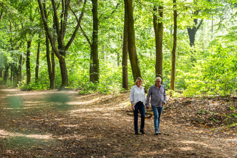 Two people walking along a forest path at Landgoed de Scheleberg holiday park in Gelderland, Netherlands.