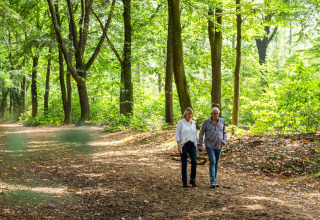 Two people walking along a forest path at Landgoed de Scheleberg holiday park in Gelderland, Netherlands.