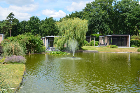 Holiday lodges by a pond with a fountain at Landgoed de Scheleberg, surrounded by lush greenery.