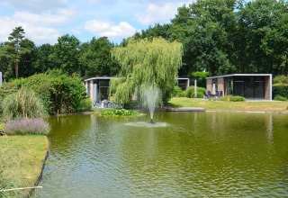 Chalets de vacances près d'un étang avec fontaine au Landgoed de Scheleberg, entourés de verdure.