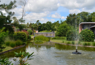 Vakantiepark Landgoed de Scheleberg in Gelderland, Nederland, met vijver, fontein en groene omgeving.