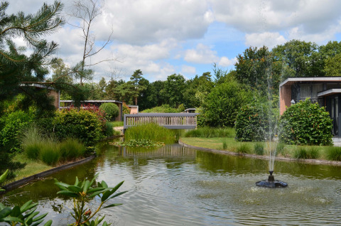 Parque vacacional sereno en Landgoed de Scheleberg, Gelderland, Países Bajos, con estanque y vegetación.