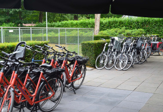 Abri à vélos avec des vélos rouges et noirs au Landgoed de Scheleberg, parc de vacances en Gueldre, Pays-Bas.