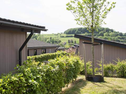 Uitzicht op bomen, hagen en chalets in het vakantiepark Résidence Valkenburg in Limburg, Nederland, tijdens de zomer.