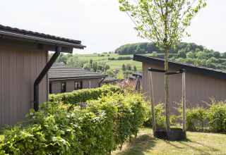 Vue sur des arbres, des haies et des chalets de vacances au parc Résidence Valkenburg à Limbourg, Pays-Bas, en été.