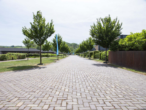 Gepflasterte Straße mit Bäumen im Ferienpark Résidence Valkenburg in Limburg, Niederlande.