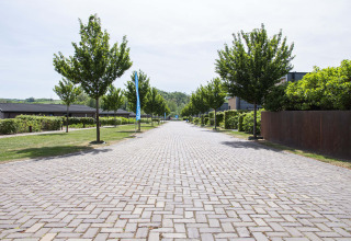 Brolagt vej med træer i Résidence Valkenburg feriepark i Limburg, Holland, på en solrig dag.