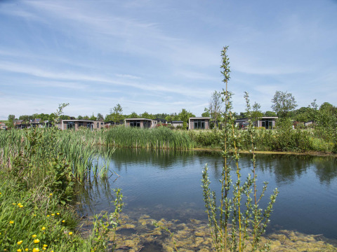 Parque vacacional Résidence Valkenburg en Limburgo, Países Bajos, con casas modernas junto a un estanque.