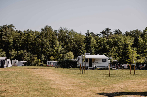 Caravan su prato al Camping de Bovenberg, circondato da alberi a Overijssel, Paesi Bassi, in estate.