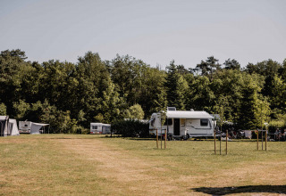Caravan su prato al Camping de Bovenberg, circondato da alberi a Overijssel, Paesi Bassi, in estate.