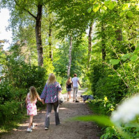 Familia pasea por un sendero arbolado cerca de Garderen, Gelderland, Países Bajos, en un día soleado.