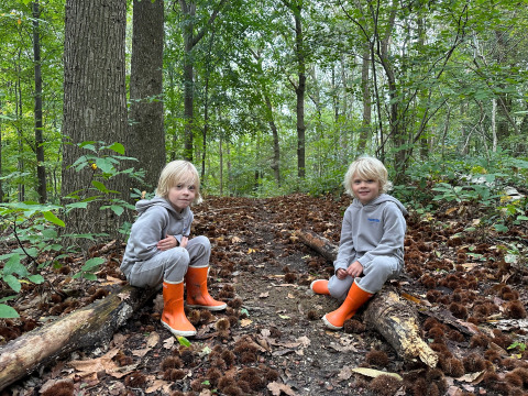 To børn i grå tøj og orange støvler sidder på træstammer i en grøn skov ved Camping de Boskant.
