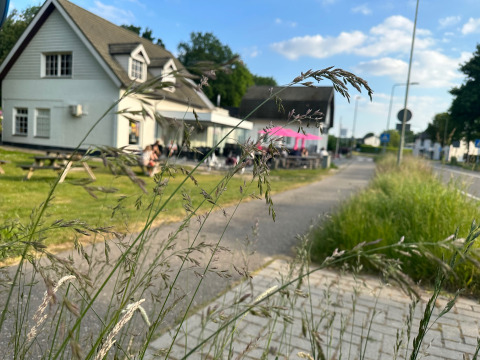 Camping de Boskant in Limburg, Niederlande mit Gras im Vordergrund und Häusern im Hintergrund.