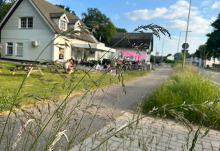 Feriepark Camping de Boskant i Limburg, Holland, med græs i forgrunden og huse i baggrunden.