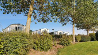 Vista de las lujosas cabañas Chalet Brilon rodeadas de árboles y arbustos en Camping & Ferienpark Brilon, Alemania.