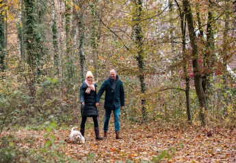 Coppia che passeggia con un piccolo cane nel bosco autunnale vicino al Verandah Chalet, Camping Sevink Molen, Paesi Bassi.