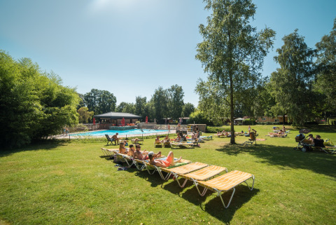 Turistas descansan en tumbonas junto a la piscina en Jocomo Parc, rodeados de naturaleza en Limburgo belga.