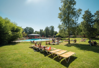 Feriegæster nyder solskin på liggestole ved poolen i Jocomo Parc, omgivet af grøn natur i Belgisk Limburg.