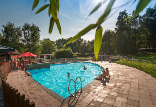 Solrig eftermiddag ved swimmingpoolen på Jocomo Parc feriepark i Limburg, Belgien, omgivet af natur.