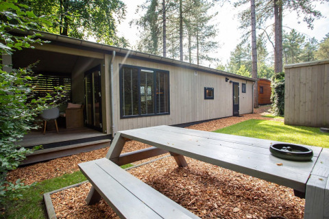 Zona exterior de Boslodge en De Thijmse Berg, Países Bajos, con terraza, banco de madera y vegetación.