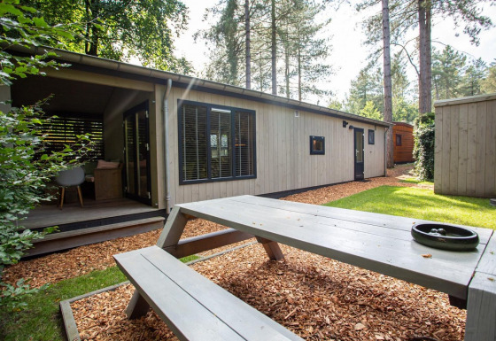 Udendørsområde ved Boslodge på De Thijmse Berg i Holland med terrasse, bordbænk og grønne omgivelser.