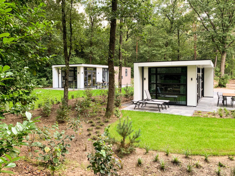 Cabañas modernas rodeadas de verde en el Recreatiepark Beekbergen, Gelderland, Países Bajos.