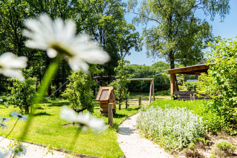 Sonniger Garten mit Blumen, Bäumen und einer Holzschaukel im Recreatiepark Beekbergen, Gelderland, Niederlande.