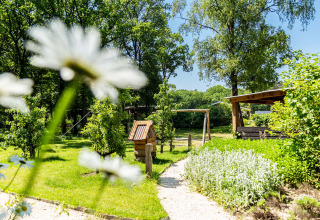 Zonnige tuin met bloemen, bomen en houten schommel in Recreatiepark Beekbergen, Gelderland, Nederland.