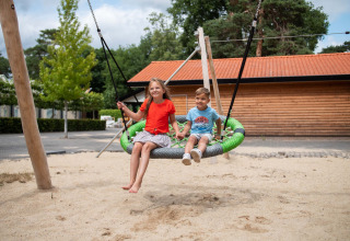 Twee kinderen spelen op een nestschommel in de speeltuin van Resort Veluwe, Gelderland, Nederland.