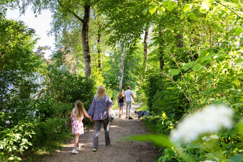 Familia paseando con perro por sendero en Resort Veluwe, parque vacacional en Gelderland, Países Bajos, soleado.