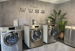 Moderne wasruimte met Miele-wasmachines en grote groene planten bij Resort Veluwe in Gelderland.