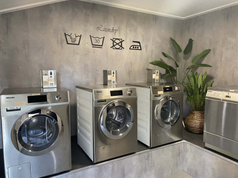 Moderne vaskeriområde med Miele-vaskemaskiner og store grønne planter, set på Resort Veluwe i Gelderland.