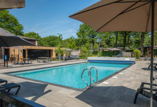 Piscina al aire libre en Bospark Ede, un parque vacacional en Gelderland, Países Bajos, rodeada de árboles y terraza.