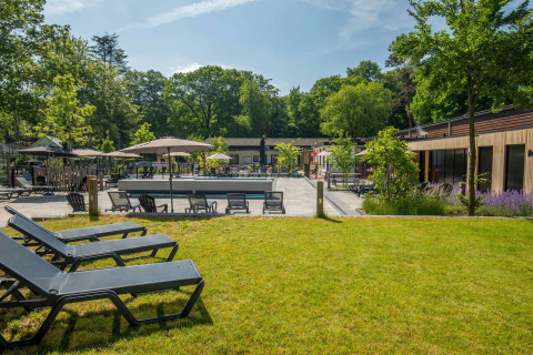 Espace détente extérieur avec transats et parasols à Bospark Ede, parc de vacances à Gelderland, Pays-Bas.