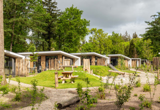 Feriehytter og legeplads omgivet af grønne træer i Bospark Ede, en feriepark i Gelderland, Holland.