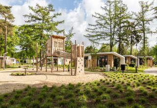 Legeplads med træklatrestativ omgivet af moderne ferieboliger og fyrretræer i Bospark Ede, Gelderland.