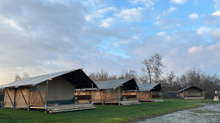 Rij safaritenten op een grasveld bij zonsopgang, met bomen en deels bewolkte lucht op de achtergrond.