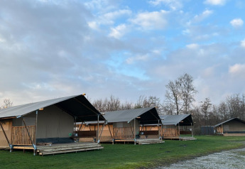 Reihe von Safarizelten auf einer Wiese im Morgengrauen, Bäume und teilweise bewölkter Himmel im Hintergrund.