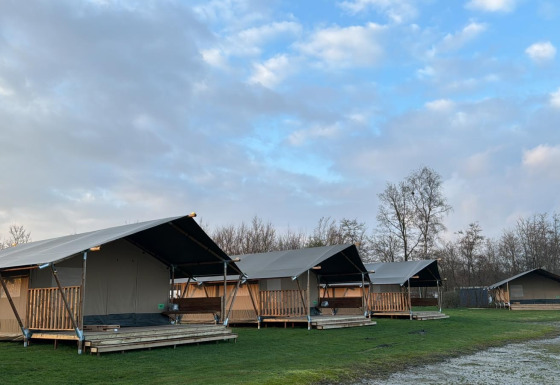 Reihe von Safarizelten auf einer Wiese im Morgengrauen, Bäume und teilweise bewölkter Himmel im Hintergrund.
