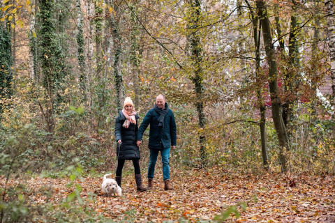 Couple walking with small dog through autumn forest near Winterswijk - Meddo, Gelderland, Netherlands.
