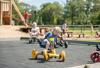 Bambini giocano e guidano go-kart a pedali all’area giochi di Camping Sevink Molen a Gelderland, Paesi Bassi.