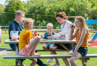 En familie nyder en picnic ved et træbord i solskin på Camping Sevink Molen, Gelderland, Holland.