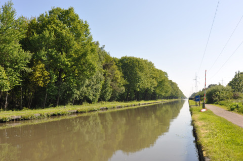 Canal paisible bordé d'arbres verts près de Camping Het Veen, Anvers, Belgique, sous un ciel clair.