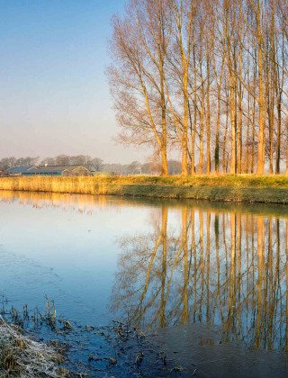 Paisaje en las cercanías de Winterswijk-Meddo, Gelderland, Países Bajos, con árboles reflejados en el río.
