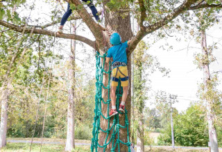 Niños subiendo una red de cuerda en un árbol en el parque vacacional Lac du Causse, Nouvelle-Aquitaine, Francia.