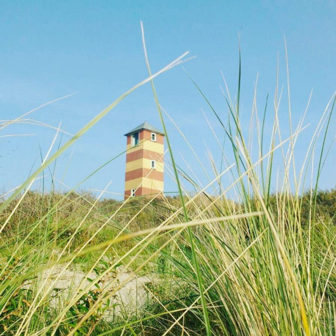 Beach house in Dishoek, Zeeland, Netherlands, seen through grass with a clear blue sky above.